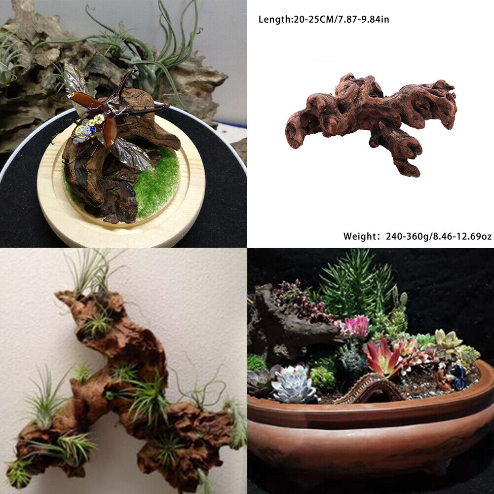 US 3-6 Pcs 15-25cm Aquarium Driftwood Ornament Branches Log Fish Tank Decoration