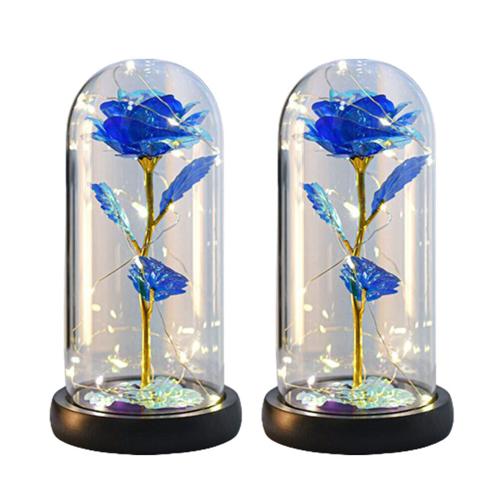 US Rose LED Light Glass Gifts for Wife Women Her Christmas Girlfriend Birthday