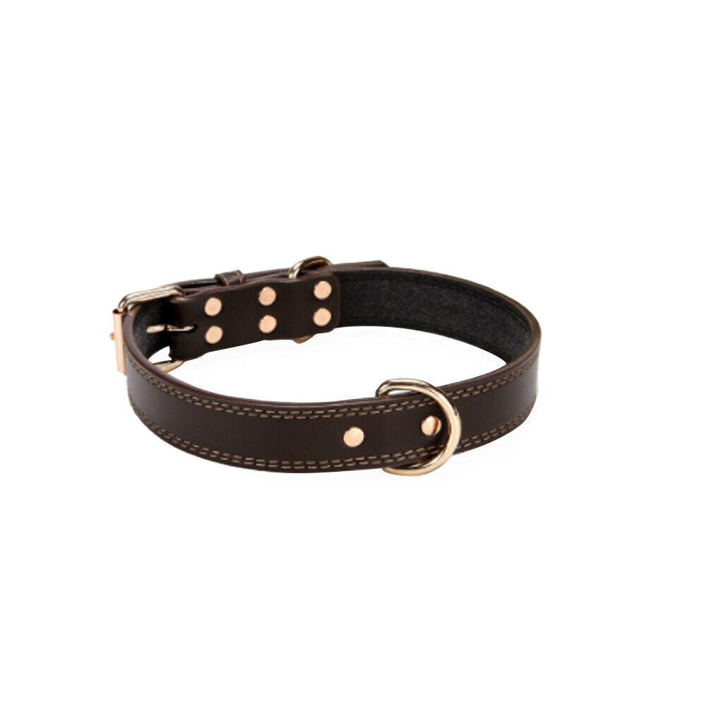 US 1-2 Pack Heavy Duty Full Grain Genuine Leather Dog Collar Strong Hardware Pet