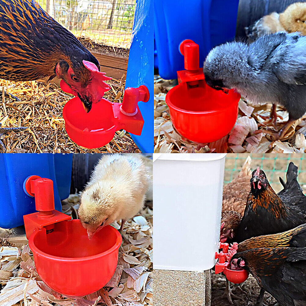 US 6-12 Pc Poultry Water Cup Chicken Feeder Duck Turkey Rabbit Automatic Filling