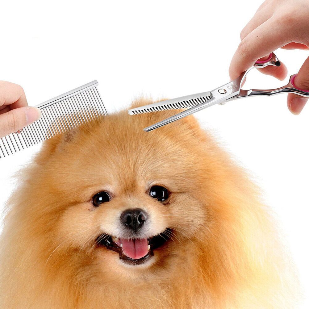 US Pet Dog Grooming Scissors Stainless Straight Curved Thinning Shears Trimmer