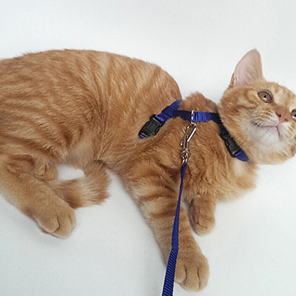 US 2-4Pc Adjustable Cat Halter Harness Nylon Strap Collar Leash Belt Safety Fine