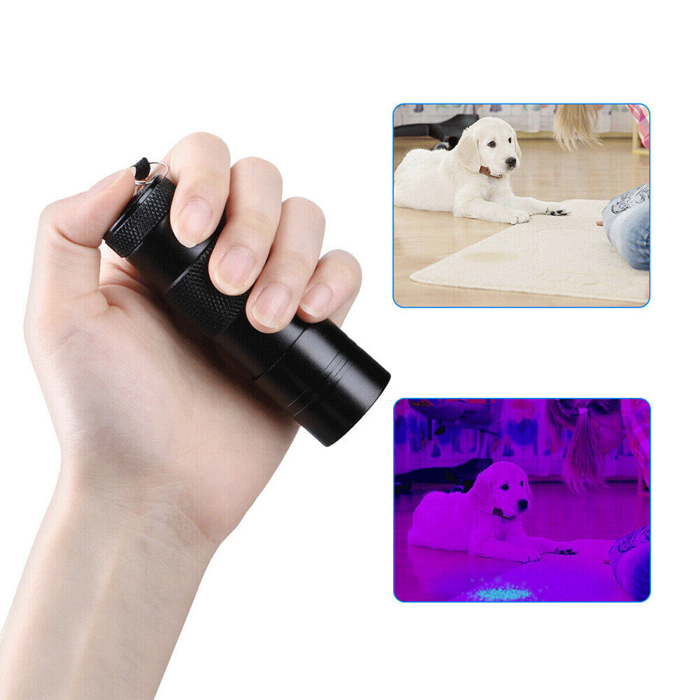 US UV Ultra Violet 12 LED Flashlight Mini Blacklight Aluminum Torch Light 395nM