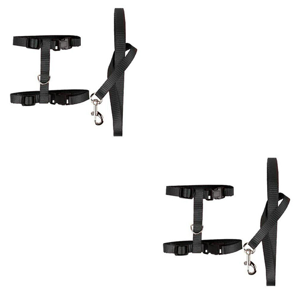 US 2-4Pc Adjustable Cat Halter Harness Nylon Strap Collar Leash Belt Safety Fine