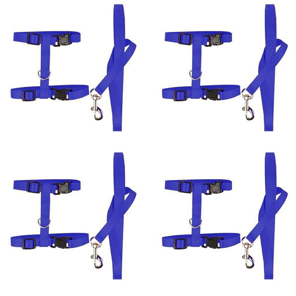 US 2-4Pc Adjustable Cat Halter Harness Nylon Strap Collar Leash Belt Safety Fine