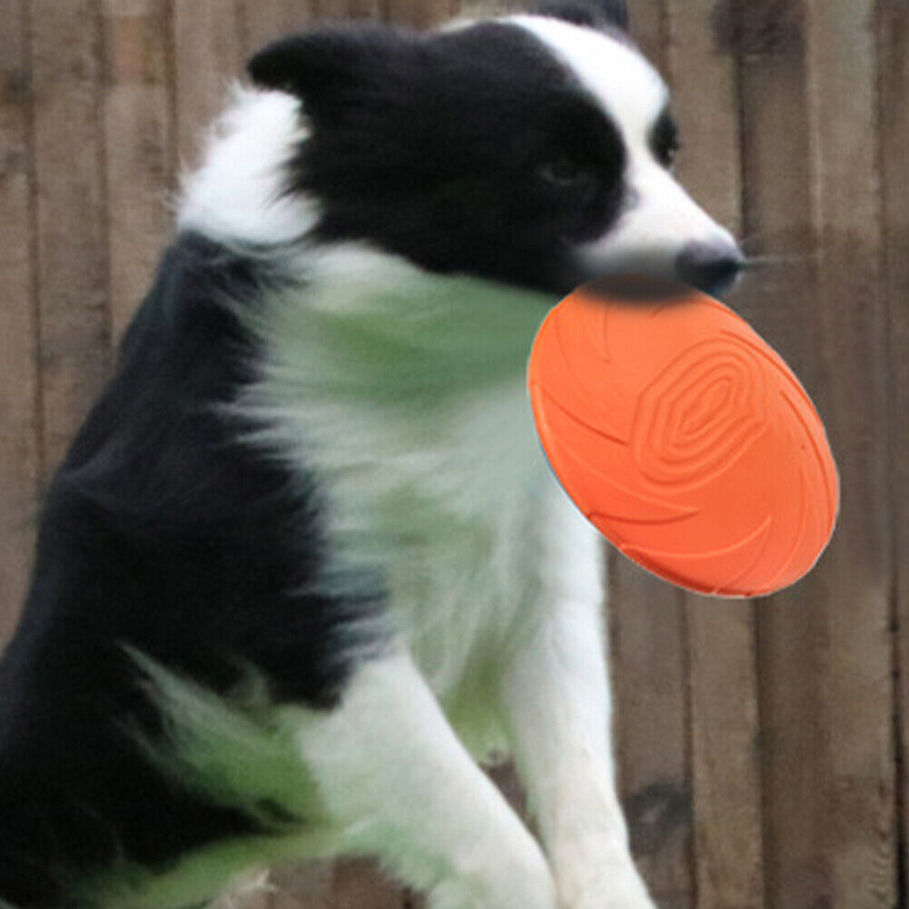 US 2 Pc Dog Toy Flyer Flexible Durable Frisbee Disc LARGE Chew Fetch Toys