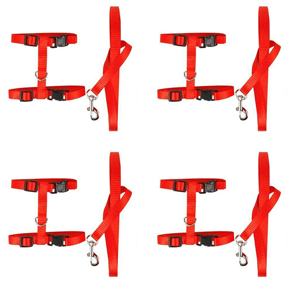 US 2-4Pc Adjustable Cat Halter Harness Nylon Strap Collar Leash Belt Safety Fine