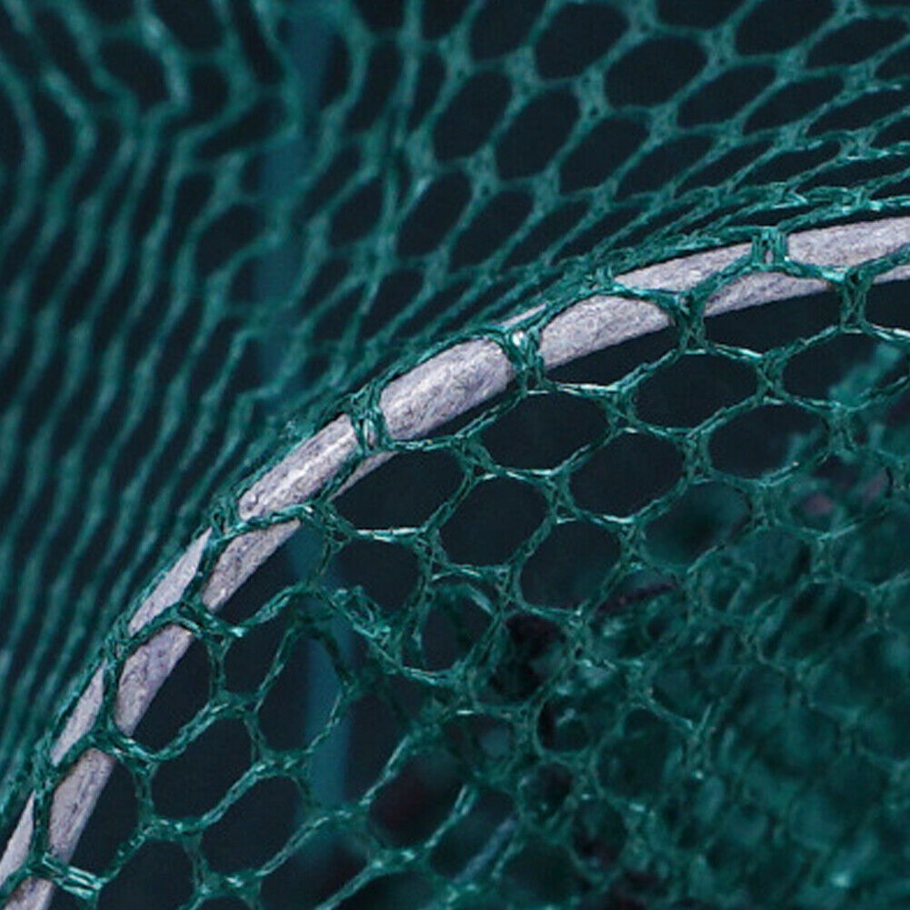 US Fishing Bait Trap Net Fish Cast Cage Crab Minnow Crawdad Shrimp Foldable
