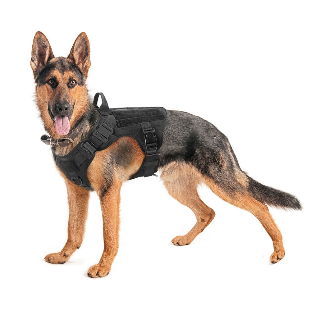 US Tactical Police K9 Training Dog Harness Military Adjustable Nylon Vest Leash