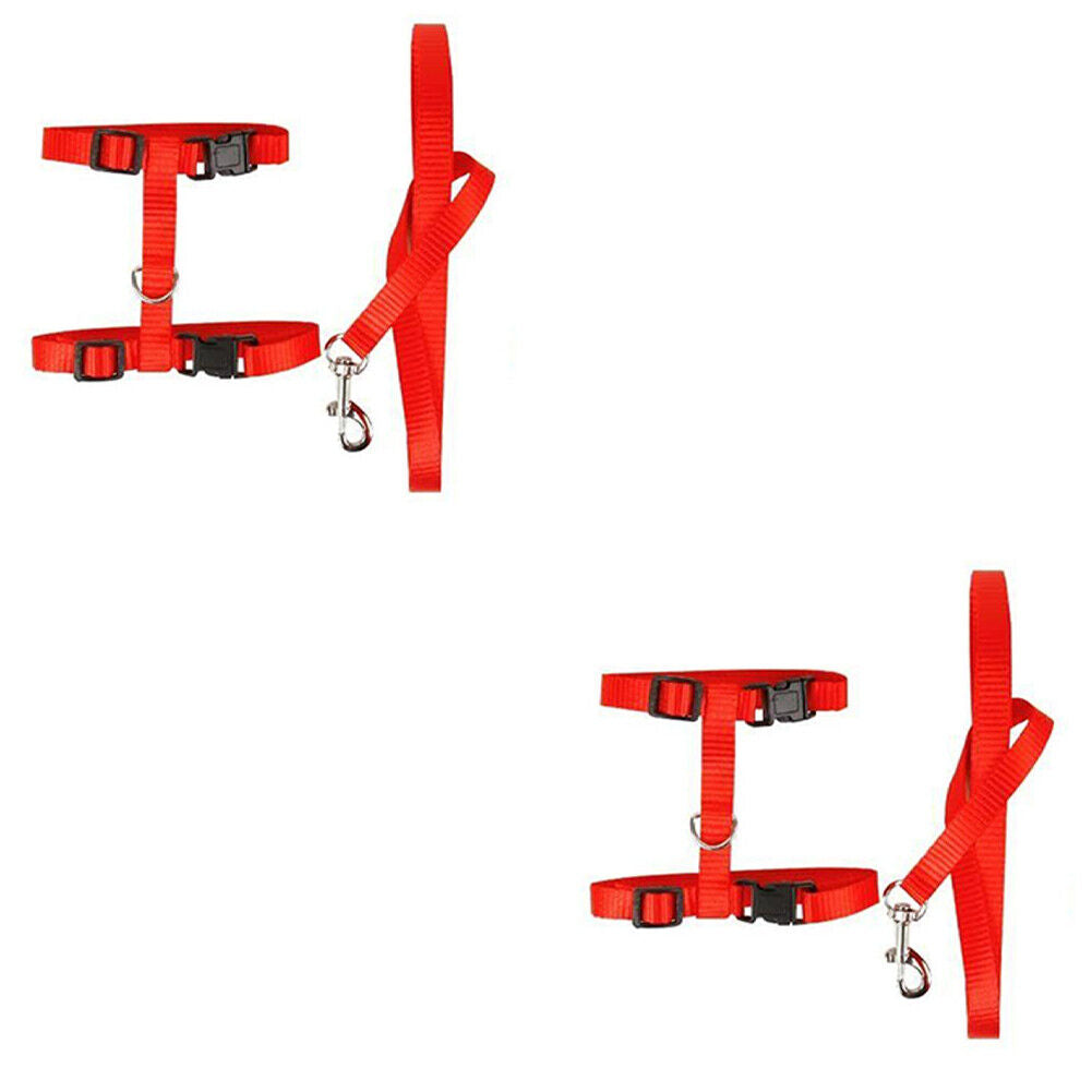 US 2-4Pc Adjustable Cat Halter Harness Nylon Strap Collar Leash Belt Safety Fine