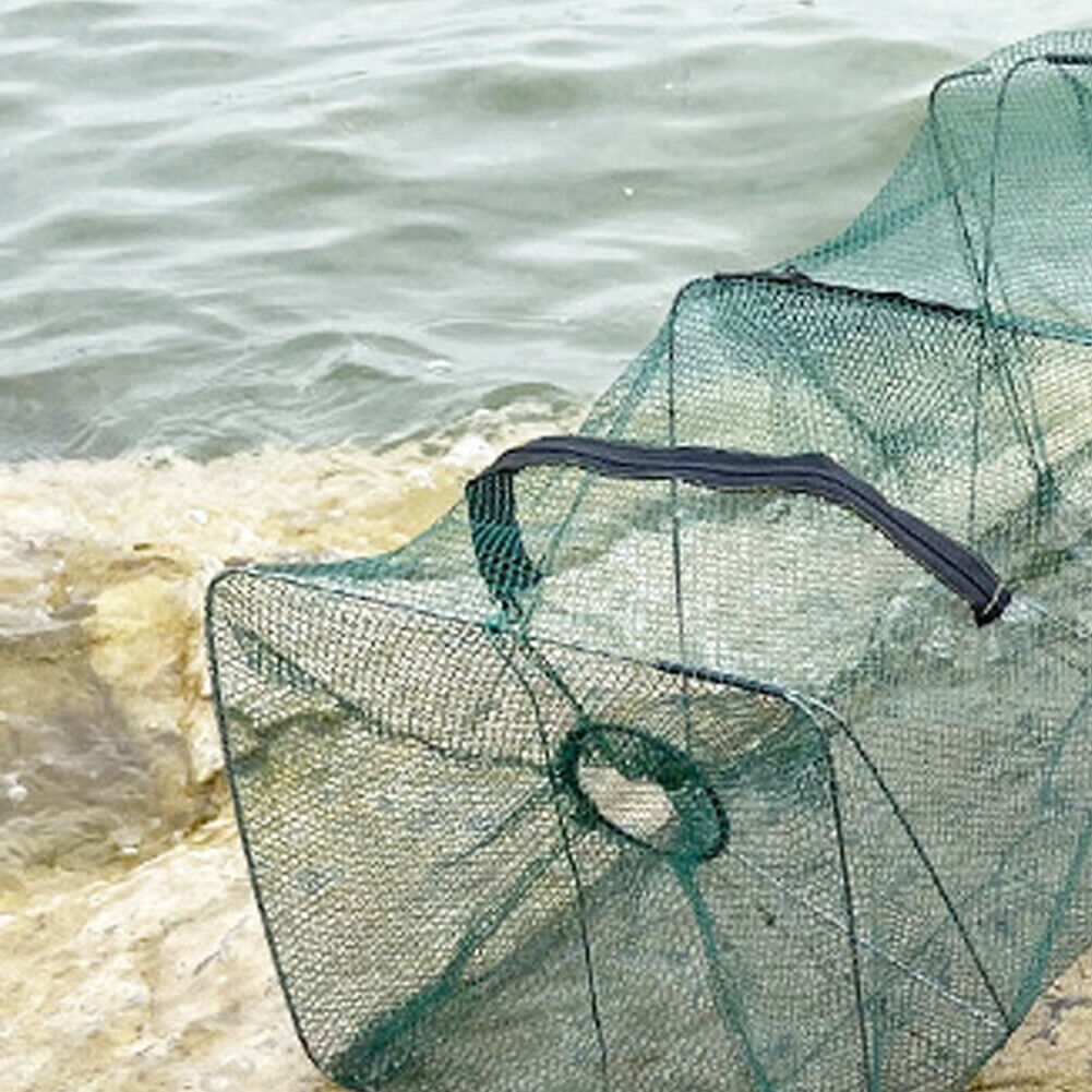 US Fishing Bait Trap Net Fish Cast Cage Crab Minnow Crawdad Shrimp Foldable