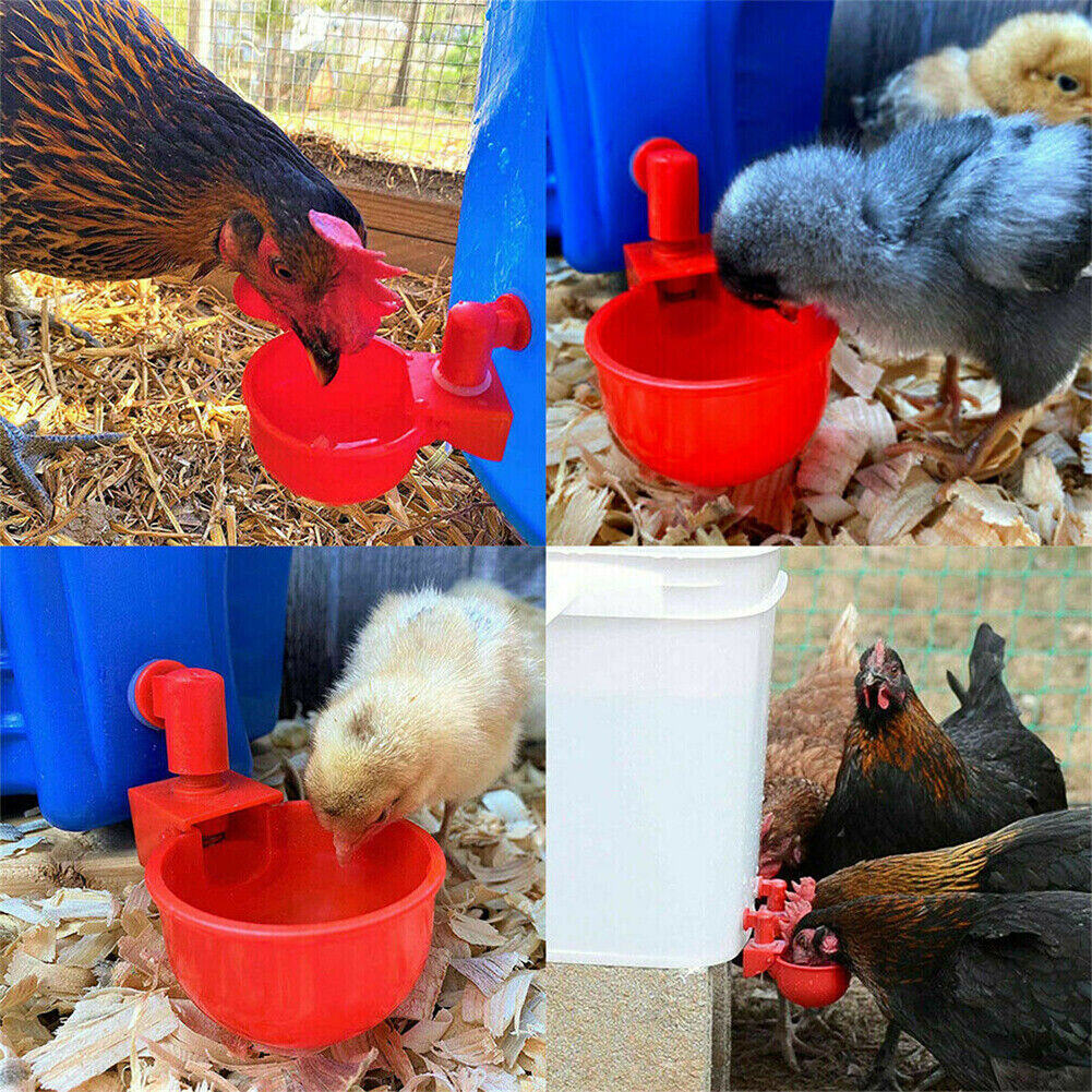 US 10-20 Pc Automatic Poultry Water Cups Drinker Chicken Duck Goose Turkey Quail