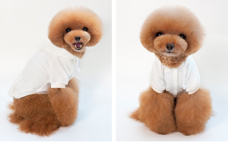 MAGIK HOODIE Dog Basic Sweatshirt Shirt Sweater Pet Coat Hood XS-XXL