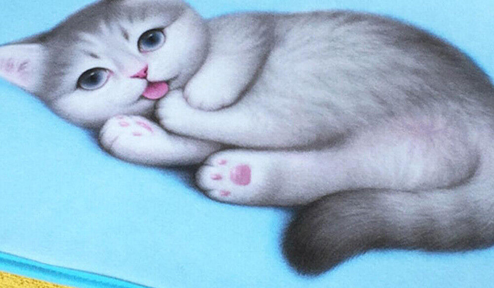 US Cat Dog Non-Slip 3D Doormat Kitchen Bathmat Bedrooms Patio Stair Carpet Mat