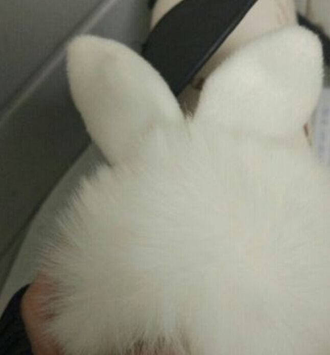 Rabbit Fur Ball/Rabbit Ear PomPom Cell Phone Car Pendant Handbag Key Chain Ring