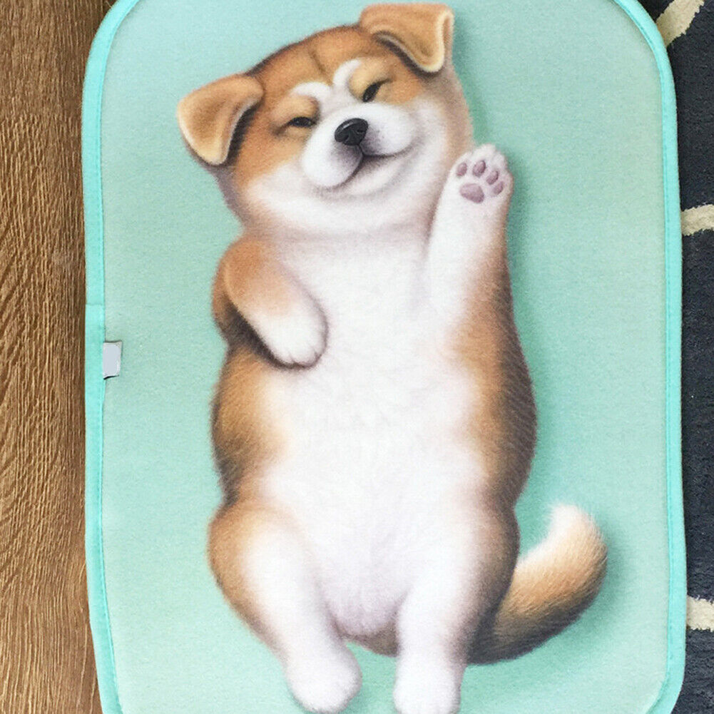 US Cat Dog Non-Slip 3D Doormat Kitchen Bathmat Bedrooms Patio Stair Carpet Mat