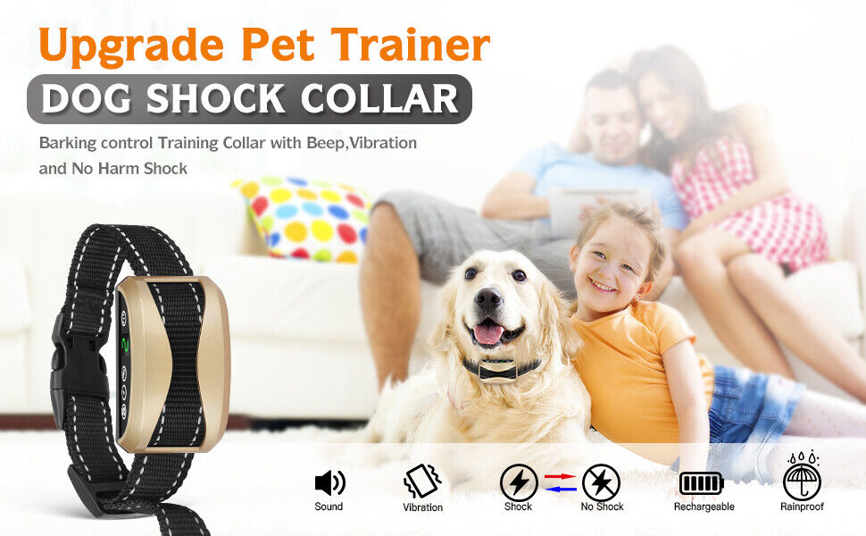 Dog Training Collar 7 Sensitivity, USB Rechargeable Waterproof and No Harm Shock