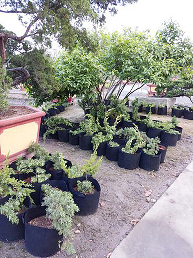 8 pcs Pack Black Fabric Grow Pots Breathable Plant Bags Smart Plant with handle