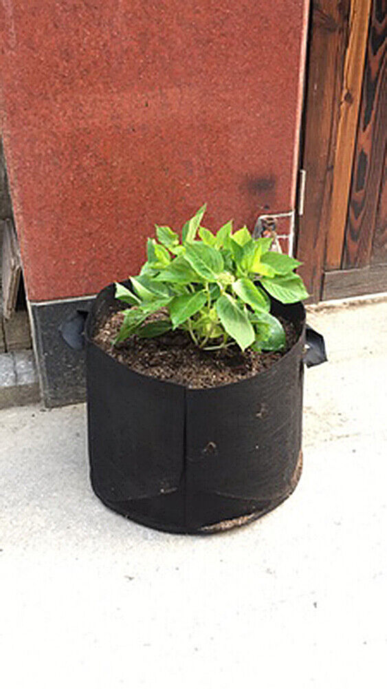 8 pcs Pack Black Fabric Grow Pots Breathable Plant Bags Smart Plant with handle
