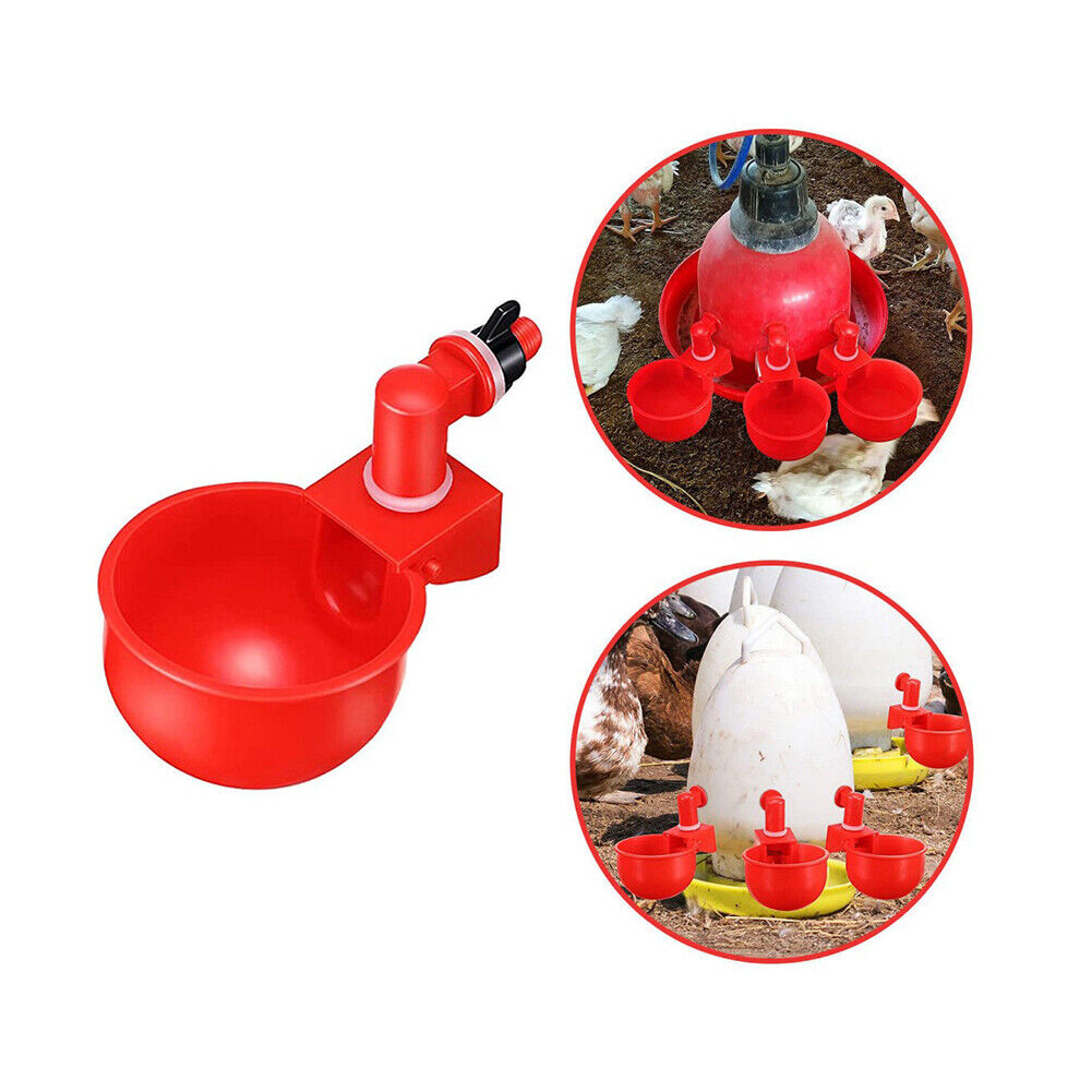US 10-20 Pc Automatic Poultry Water Cups Drinker Chicken Duck Goose Turkey Quail