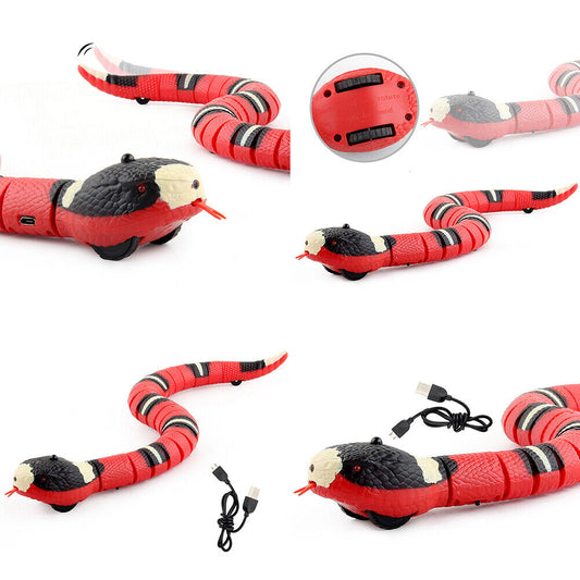 US 1-2 Pack USB Charging Smart Sensing Snake Electron Interactive Cat Dog Toys