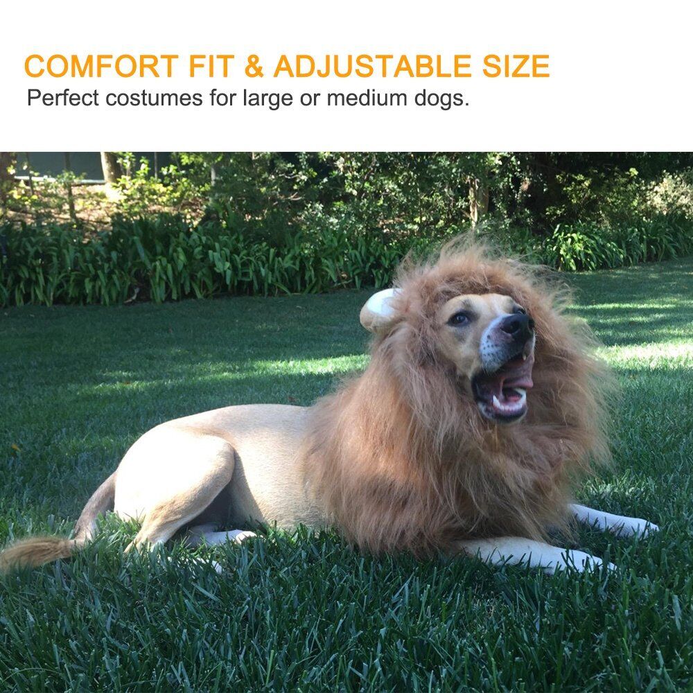 Dog Costume Lion Mane Halloween Costumes for Medium Large Dog with Ears & Tail