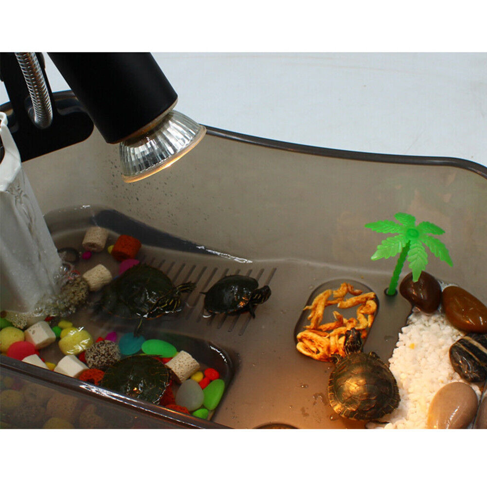 US 2-4 Pc Heat Light Reptile Lamp Amphibian Tank Terrarium Cage 25/50/75W Bulb
