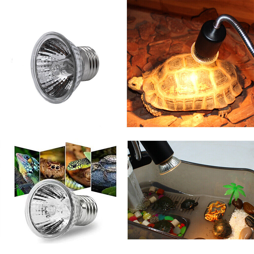 US 2-4 Pc Heat Light Reptile Lamp Amphibian Tank Terrarium Cage 25/50/75W Bulb