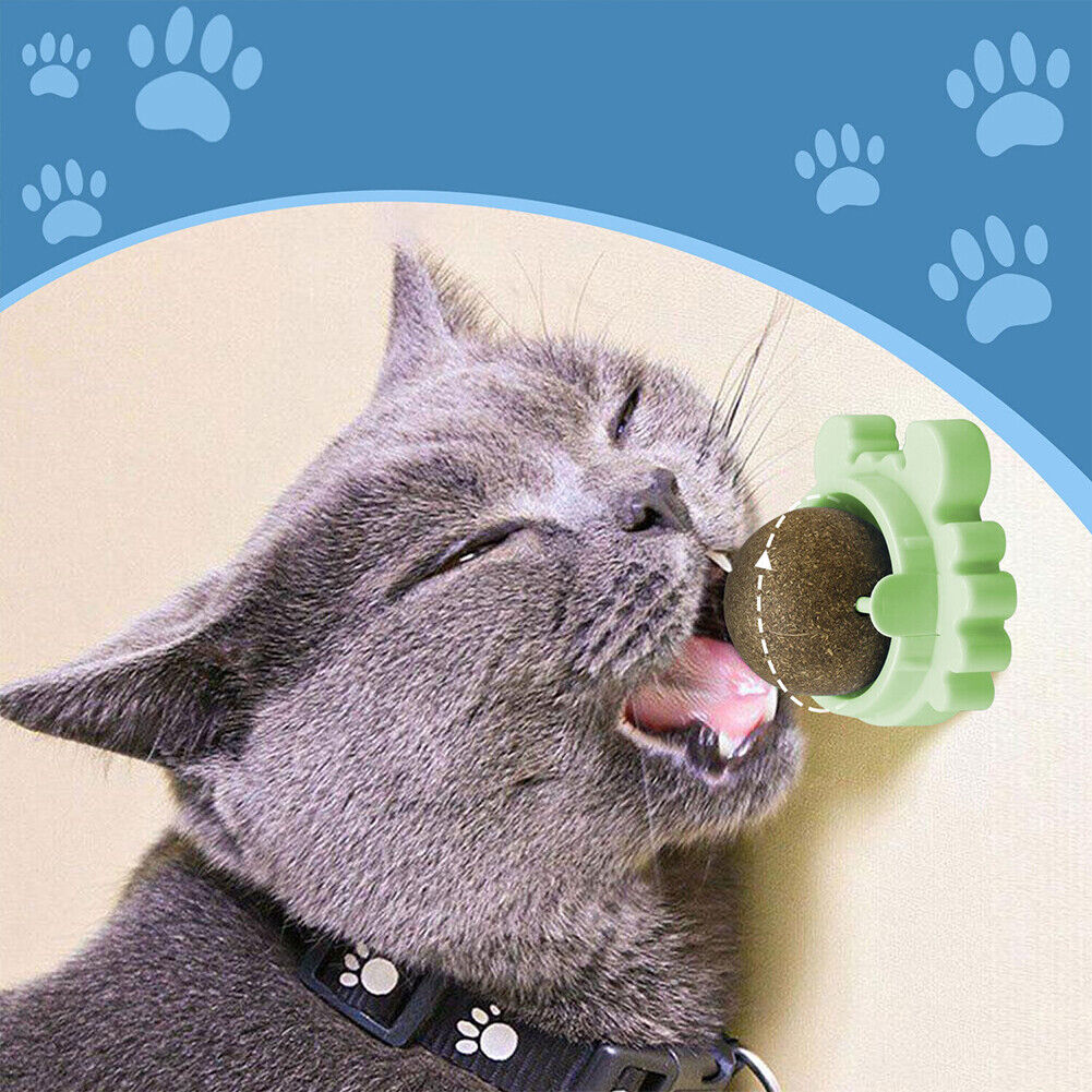 US 1-2 Pack Edible Cat Nip Ball Products Kitty Chew Rotatable Interactive Kitten