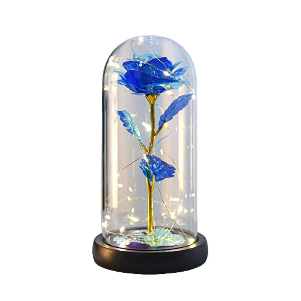 US Rose LED Light Glass Gifts for Wife Women Her Christmas Girlfriend Birthday