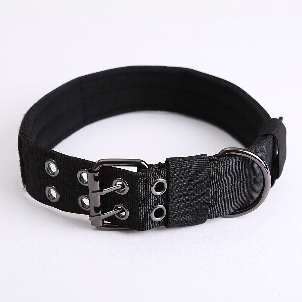 US Tactical heavy duty Nylon large Dog Collar collar K9 Military Metal Buckle