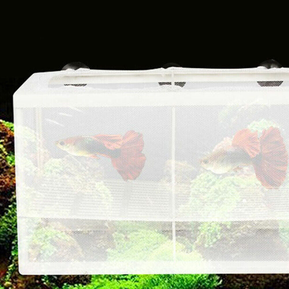 US 1-2 Pc Fish Tank Aquarium Guppy Breeding Breeder Baby Gauze Trap Box Isolator