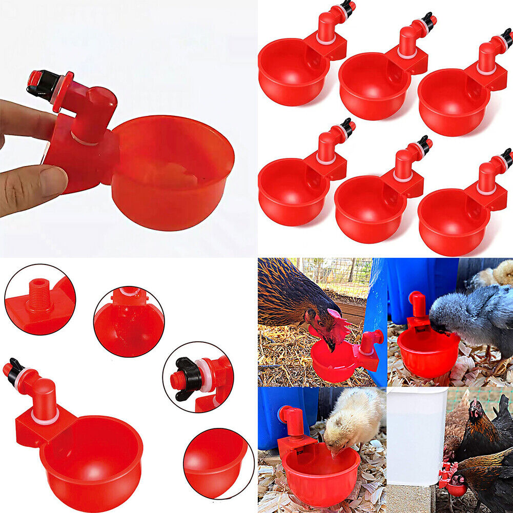 US 6-12 Pc Poultry Water Cup Chicken Feeder Duck Turkey Rabbit Automatic Filling