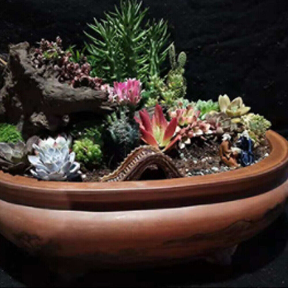 US 3-6 Pcs 15-25cm Aquarium Driftwood Ornament Branches Log Fish Tank Decoration