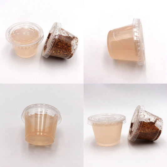 US 500 Pack Disposable 1 Oz Portion Cups with Lids for Sample Tasting Sauces