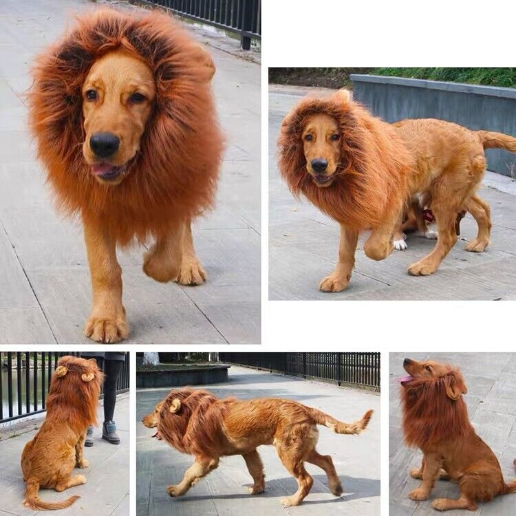 Dog Costume Lion Mane Halloween Costumes for Medium Large Dog with Ears & Tail