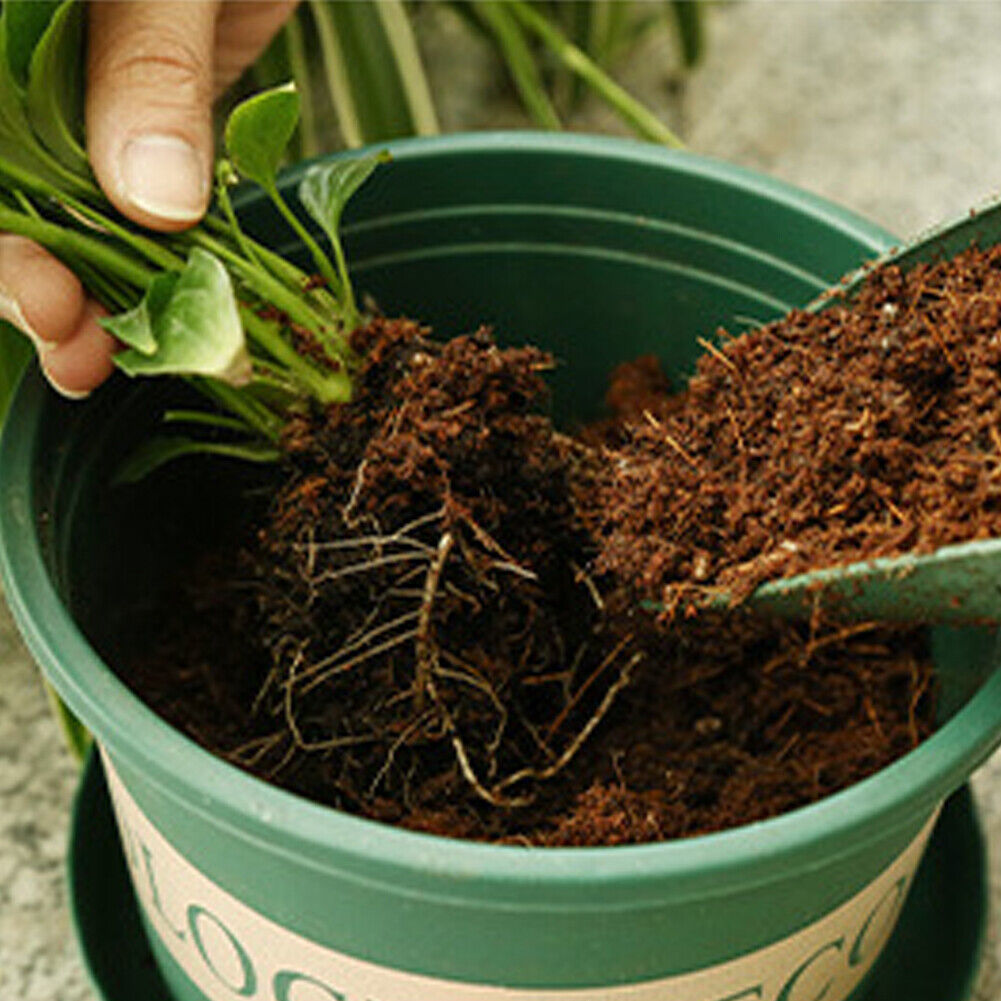 US 2-4Pc 650G Coco Coir Bricks Coconut Fiber Organic Soil Plant Growing Media