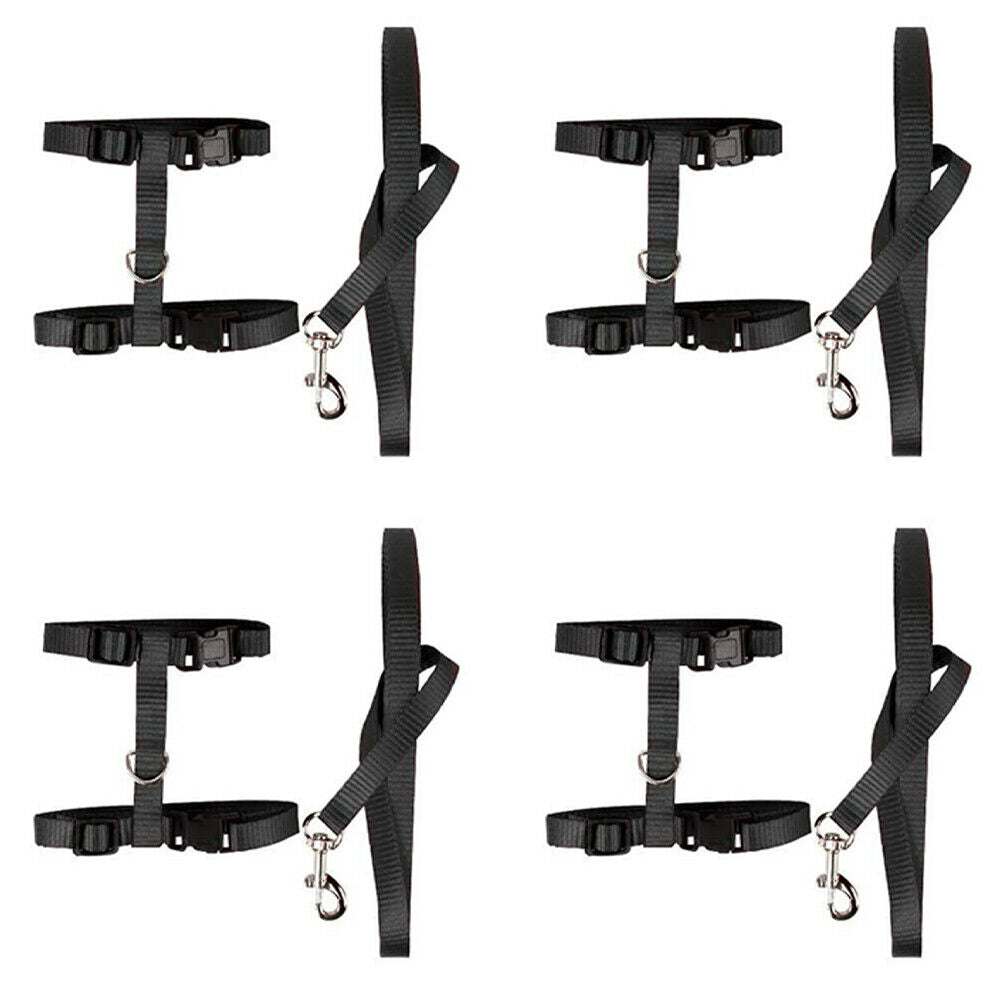 US 2-4Pc Adjustable Cat Halter Harness Nylon Strap Collar Leash Belt Safety Fine