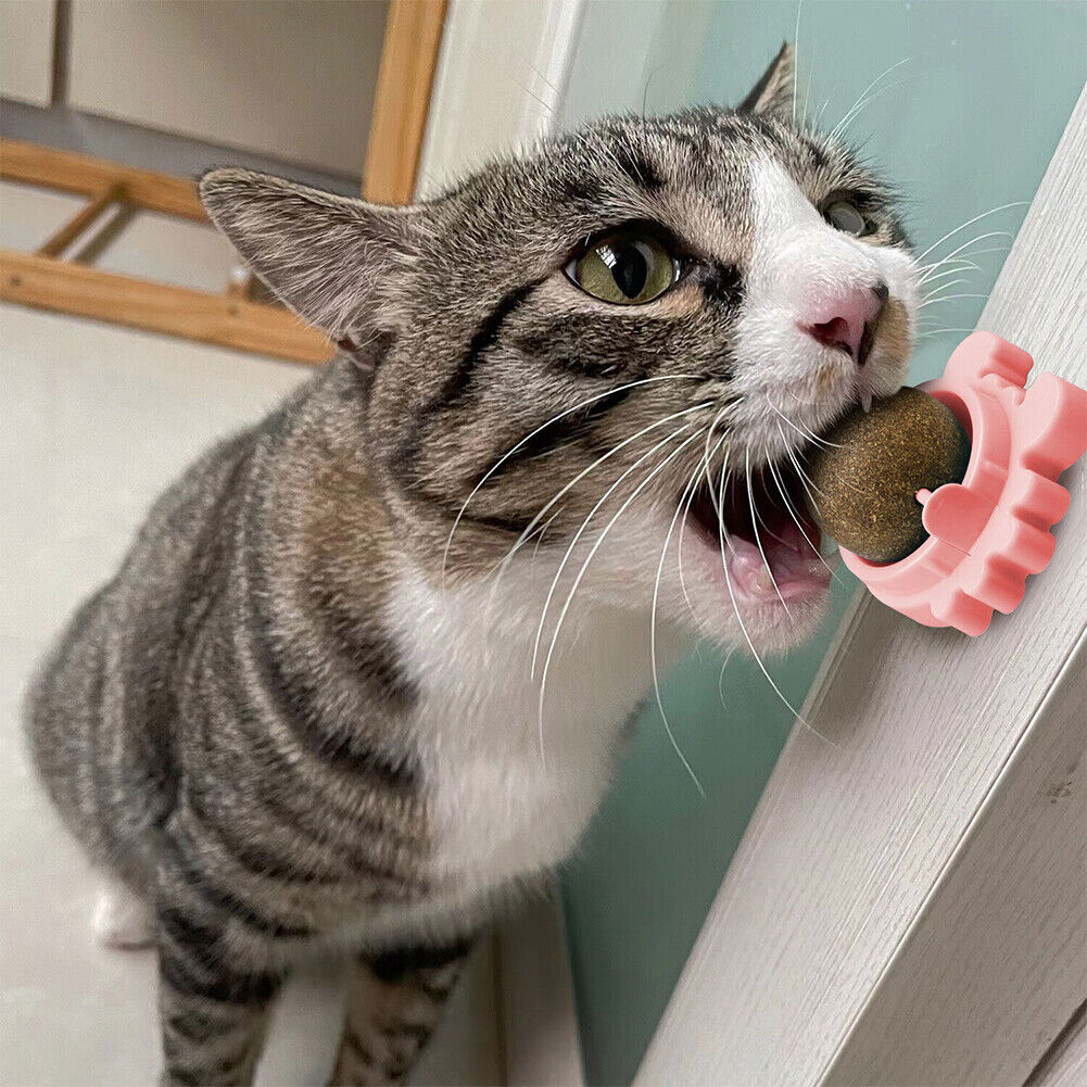 US 1-2 Pack Edible Cat Nip Ball Products Kitty Chew Rotatable Interactive Kitten