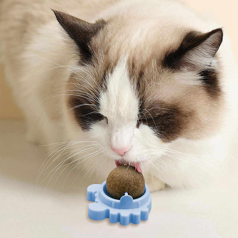 US 1-2 Pack Edible Cat Nip Ball Products Kitty Chew Rotatable Interactive Kitten
