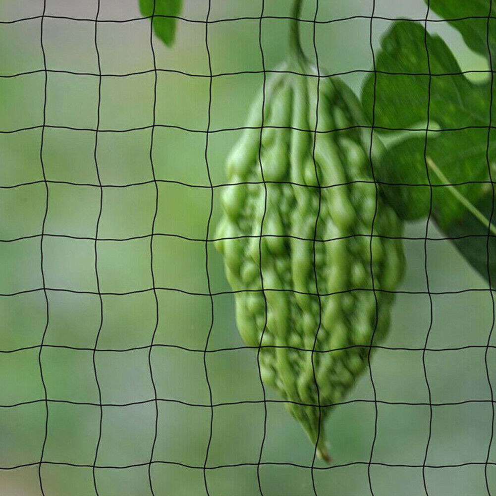 US 1-2 Pack Reusable Garden Netting Plants Barrier Mesh Net Protect Fruit Trees