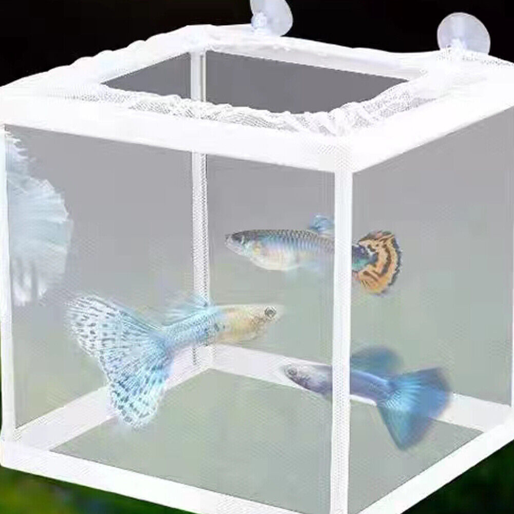 US 1-2 Pc Fish Tank Aquarium Guppy Breeding Breeder Baby Gauze Trap Box Isolator