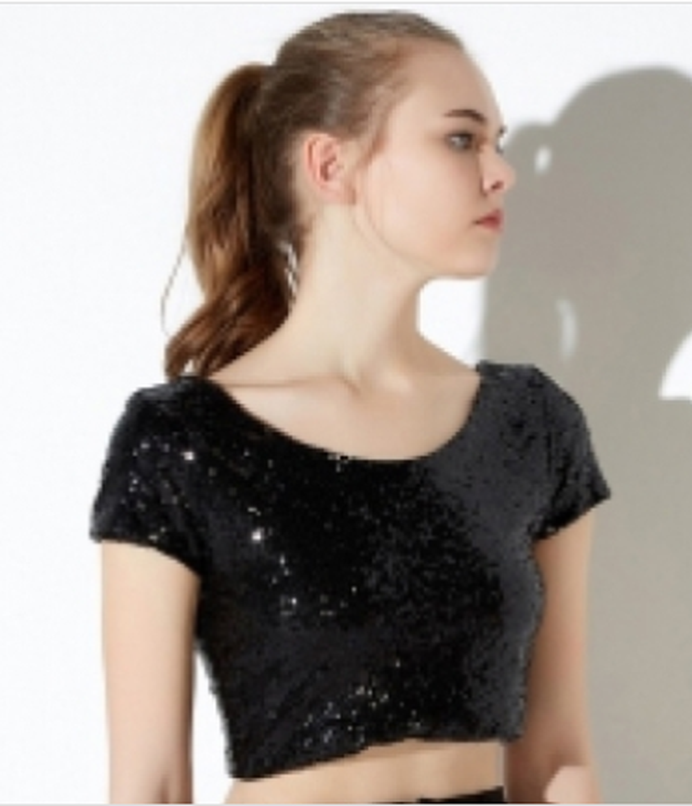 Haoduoyi Sequin Crop Top NWT