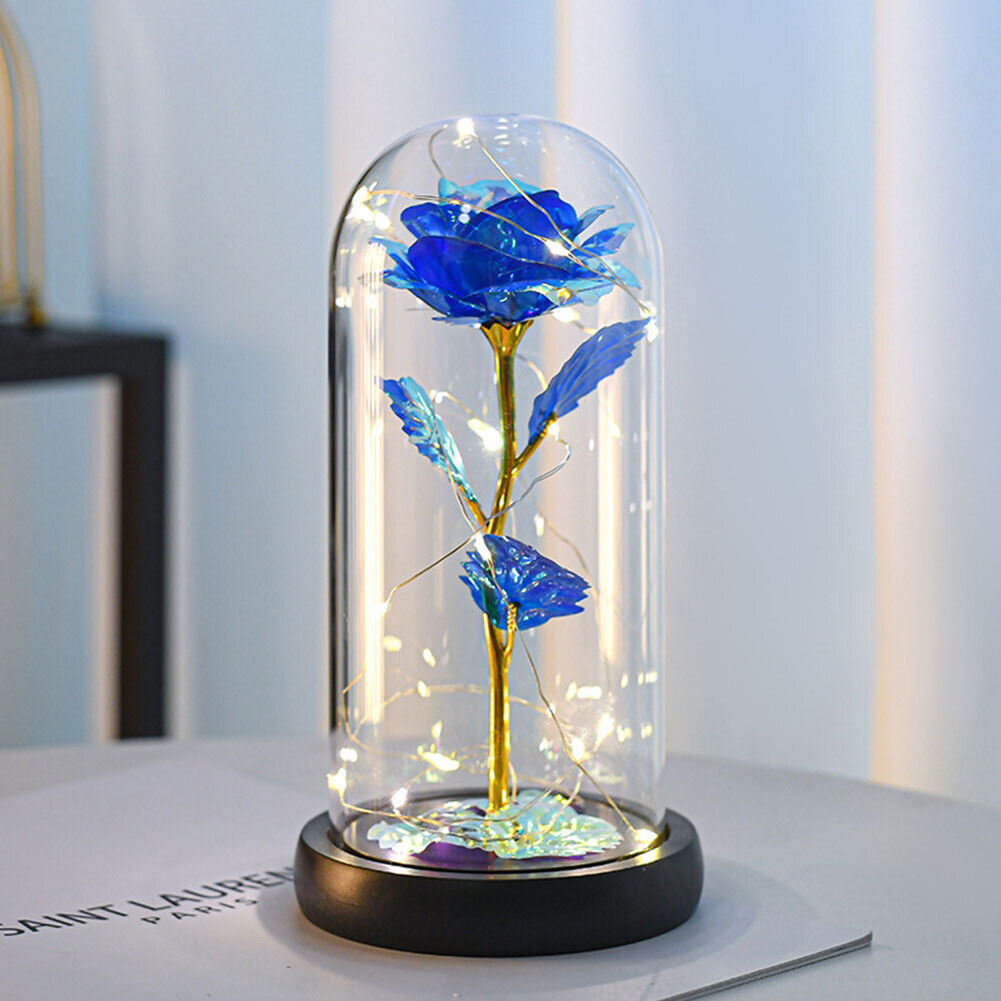 US Rose LED Light Glass Gifts for Wife Women Her Christmas Girlfriend Birthday