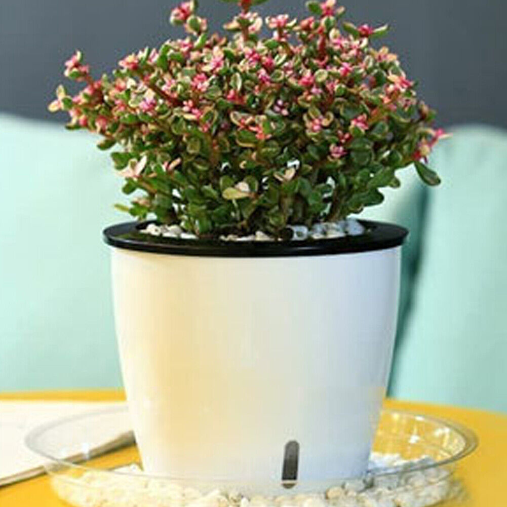 US 20-40 Pack 12"Plant Pot Plant Saucer Clear Plastic Drip Trays Plate Dish Bulk