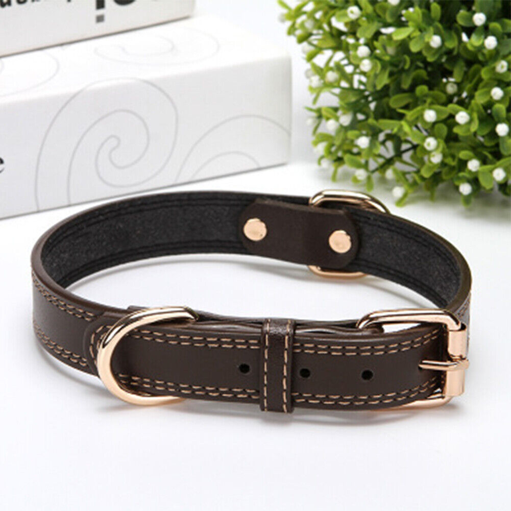 US 1-2 Pack Heavy Duty Full Grain Genuine Leather Dog Collar Strong Hardware Pet
