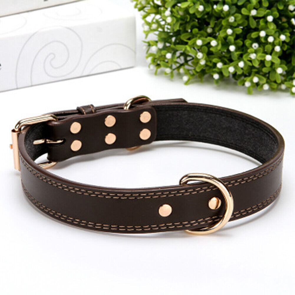 US 1-2 Pack Heavy Duty Full Grain Genuine Leather Dog Collar Strong Hardware Pet