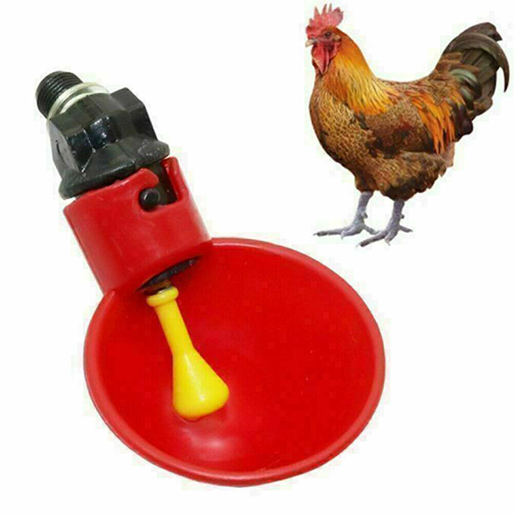US 10-20 Pcs Poultry Drinker Water Automatic Plastic Bird Drinker Cups Dispenser