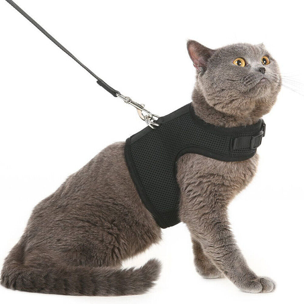 US Escape Proof Cat Harness with Leash + Reflective Collar - Adjustable S M L XL