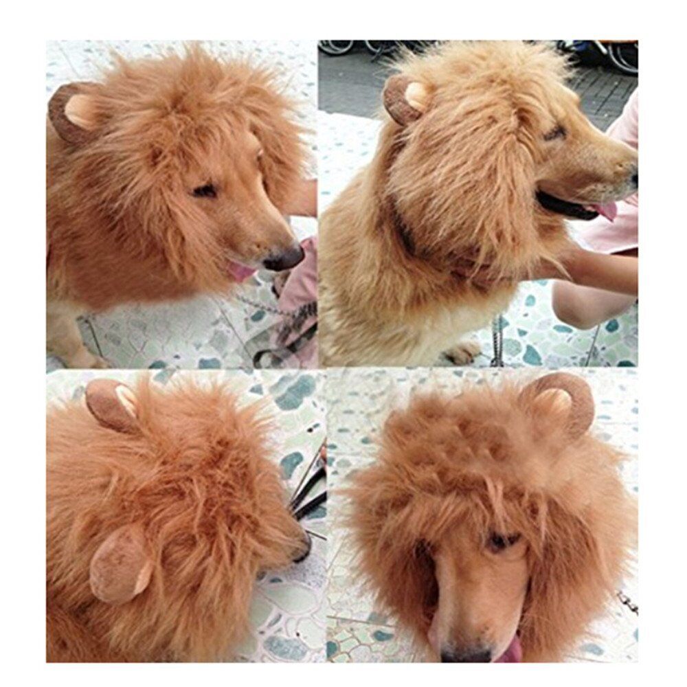 Dog Costume Lion Mane Halloween Costumes for Medium Large Dog with Ears & Tail
